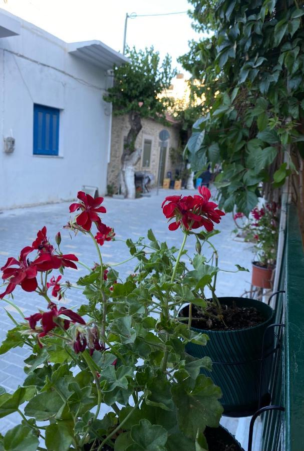 Olympios Apartment At Myrtos 1 Minute From The Beach Buitenkant foto